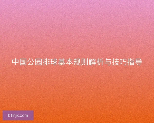 中国公园排球基本规则解析与技巧指导