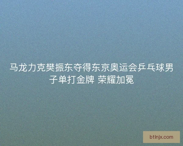 马龙力克樊振东夺得东京奥运会乒乓球男子单打金牌 荣耀加冕