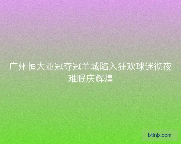 广州恒大亚冠夺冠羊城陷入狂欢球迷彻夜难眠庆辉煌 广州恒大亚冠夺冠羊城陷入狂欢球迷彻夜难眠庆辉煌